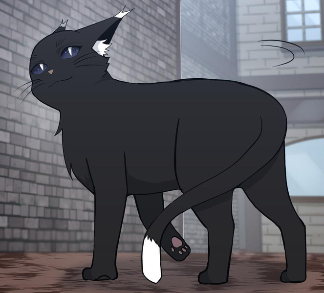 File:Windsom cat form.png